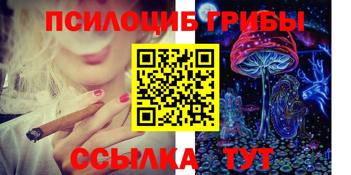 Псилоцибиновые грибы GOLDEN TEACHER Сокол